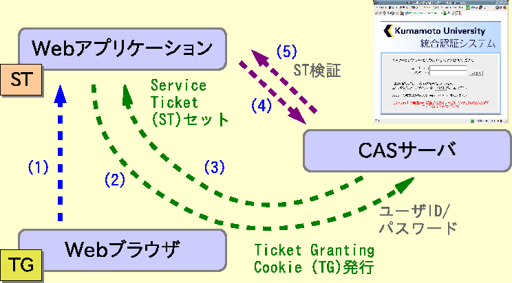 \includegraphics[width=\linewidth]{figs/cas1.eps}